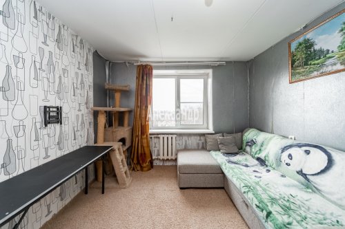 2 комнаты в 8-комнатной квартире (194м2) на продажу по адресу Партизана Германа ул., 37— фото 1 из 28