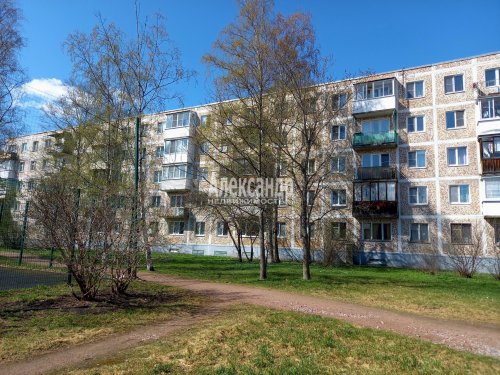 2-комнатная квартира (45м2) на продажу по адресу Ломоносов г., Александровская ул., 33— фото 1 из 9