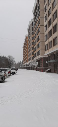 1-комнатная квартира (32м2) на продажу по адресу Ломоносов г., Михайловская ул., 51— фото 1 из 43
