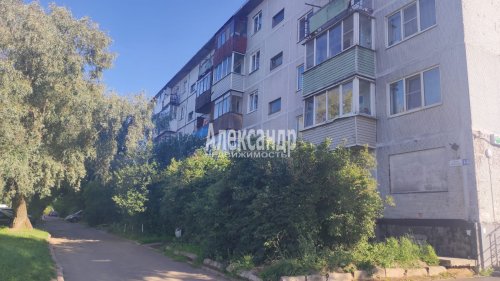 2-комнатная квартира (49м2) на продажу по адресу Оржицы дер., 14— фото 1 из 36