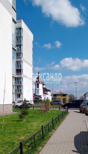 1-комнатная квартира (39м2) на продажу по адресу Романовка пос., 9— фото 1 из 12
