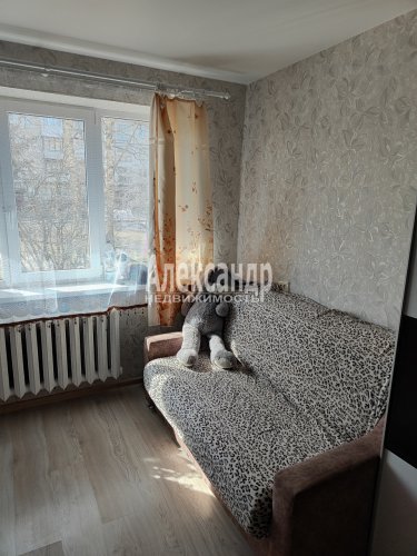 1-комнатная квартира (31м2) на продажу по адресу Ломоносов г., Скуридина ул., 2— фото 1 из 16