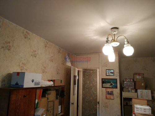 2-комнатная квартира (45м2) на продажу по адресу Ломоносов г., Швейцарская ул., 8— фото 1 из 12