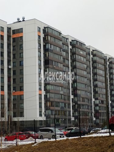 1-комнатная квартира (41м2) на продажу по адресу Павлово село, Морской пр-зд, 1— фото 1 из 11