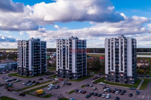 1-комнатная квартира (45м2) на продажу по адресу Новоселье пос., Центральная ул., 3— фото 1 из 6