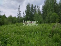 Участок (12м2) на продажу — фото 6 из 11