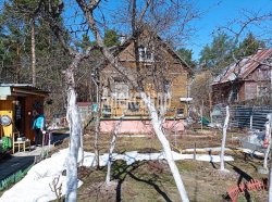 Садовый дом (74м2) на продажу — фото 4 из 36