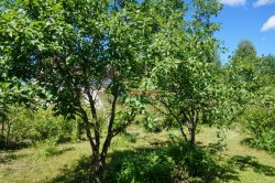 Жилой дом (95м2) на продажу — фото 33 из 36