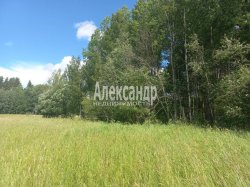 Участок (100м2) на продажу — фото 5 из 10