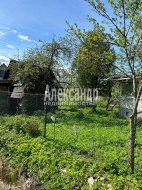 Садовый дом (50м2) на продажу — фото 17 из 20