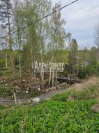 Жилой дом (39м2) на продажу — фото 22 из 126