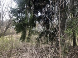 Участок (6м2) на продажу — фото 5 из 10