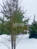 Дачный дом (25м2) на продажу — фото 7 из 18