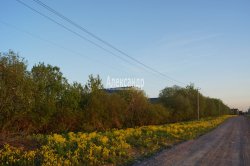 Жилой дом (200м2) на продажу — фото 133 из 144