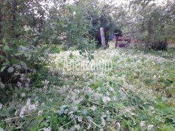 Жилой дом (66м2) на продажу — фото 7 из 9