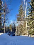 Жилой дом (36м2) на продажу — фото 22 из 23