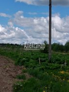 Участок (30м2) на продажу — фото 7 из 10
