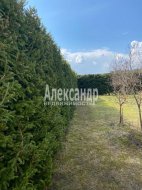 Жилой дом (239м2) на продажу — фото 10 из 81