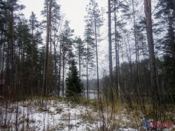 Жилой дом (100м2) на продажу — фото 27 из 51