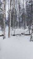 Садовый дом (25м2) на продажу — фото 9 из 16