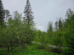 Жилой дом (69м2) на продажу — фото 39 из 60