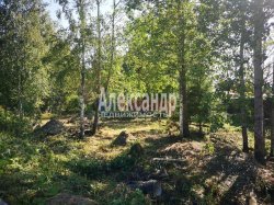Участок (10м2) на продажу — фото 2 из 9