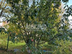Жилой дом (70м2) на продажу — фото 26 из 34