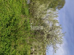 Участок (70м2) на продажу — фото 16 из 20