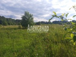 Участок (343м2) на продажу — фото 2 из 9