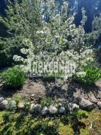 Жилой дом (62м2) на продажу — фото 15 из 18