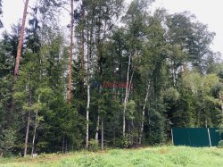 Жилой дом (62м2) на продажу — фото 19 из 22
