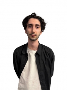 Агент по недвижимости Гусейнов Айдын 